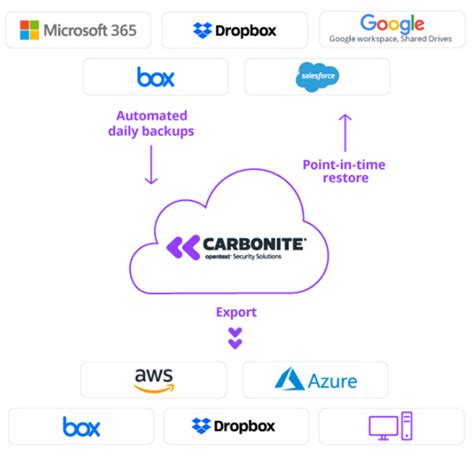 carbonite cloud to cloud backup datasheet